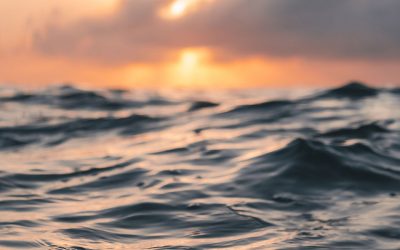 IMPORTANCE OF POOL FILTRATION & FILTER SIZING