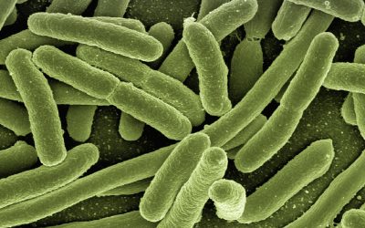 Waterborne Diseases – The Importance of Clean Water Availability