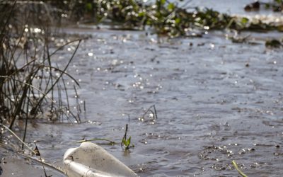 Chemically Contaminated Water – Contaminations Sources and Associated Health Risks